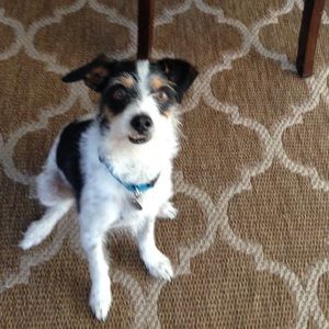 Meet your Posher, Noelle